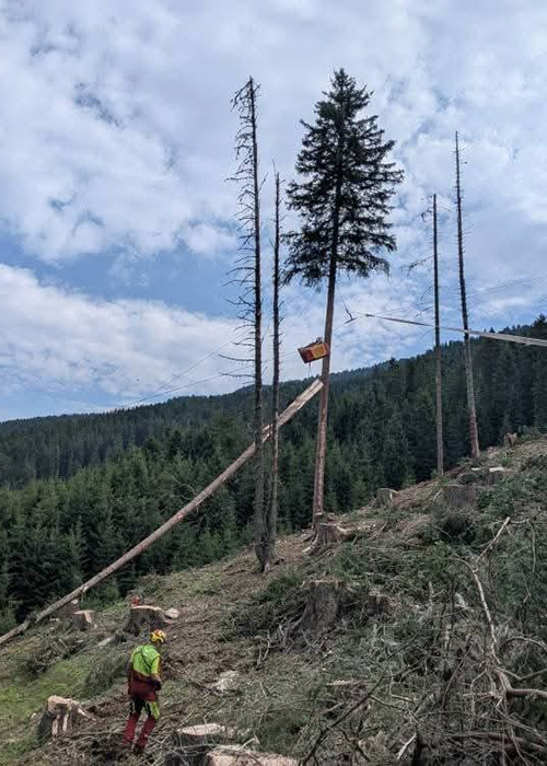 Holzbringung aus bergigem Gelände