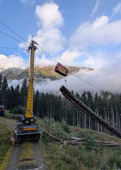 Holzbringung aus bergigem Gelände